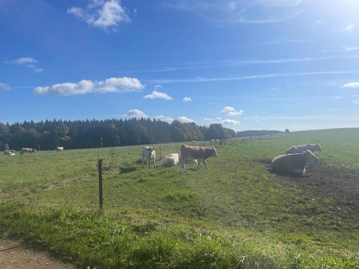 Apartman Studnice Na Vysocine Nove Mesto na Morave Eksteriør billede